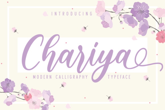 Chariya Font: A Web Designer's Real-World Review