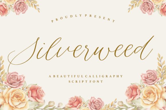 Silverweed: The Elegant Script Font for Campaigns